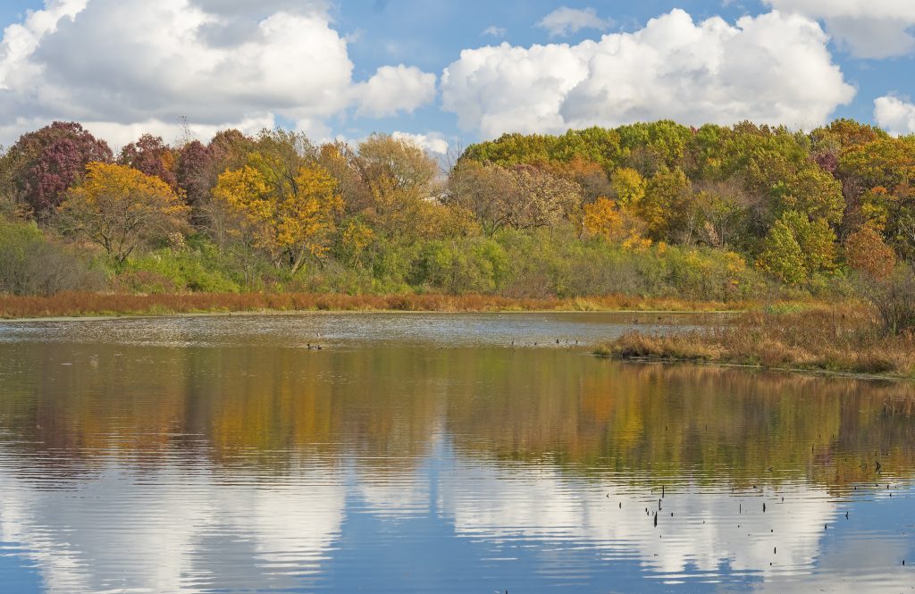 Wonder Lake, IL Real Estate & Neighborhood Guide - Keystone
